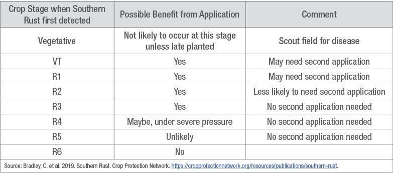 Identifying and Managing Southern Rust of Corn